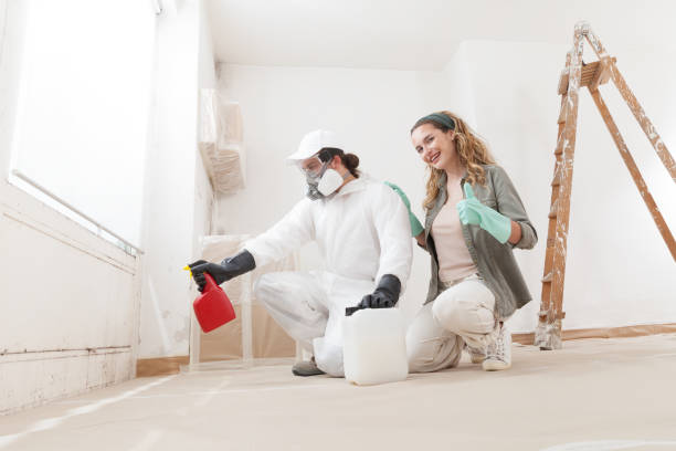 Best Industrial Mold Remediation  in Grant, MN