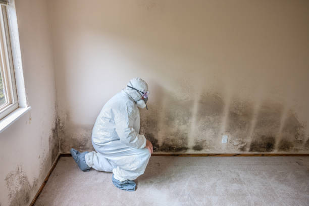 Best Biohazard Mold Removal  in Grant, MN